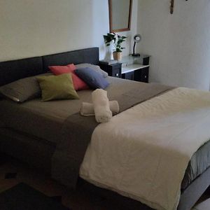 Kamer met een Queen Size Bed